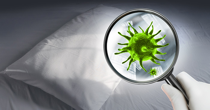 Které mikroorganismy můžeme nalézt v posteli a jaké problémy způsobují?